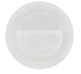 ICON-R  - 3W WHITE 100-264V LED INGROUND LAMP