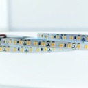 FITA LED ELIGHT 12W 12V 2700K IP20 5M