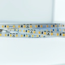 FITA LED ELIGHT 12W 24V 2700K IP20 5M