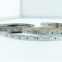 FITA LED ELIGHT 14.4W 24V RGB IP20 5M