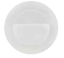 ICON-R  - 3W WHITE 100-264V LED INGROUND LAMP